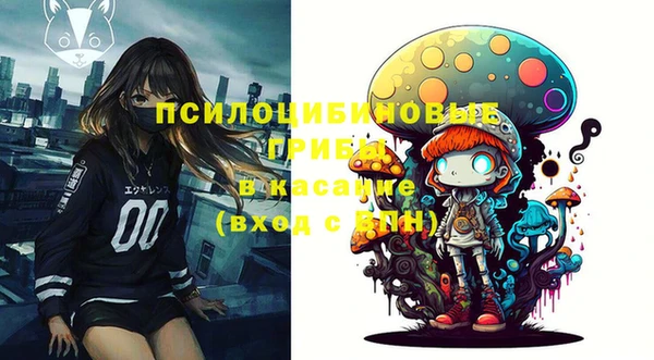 соль курить ск Арсеньев