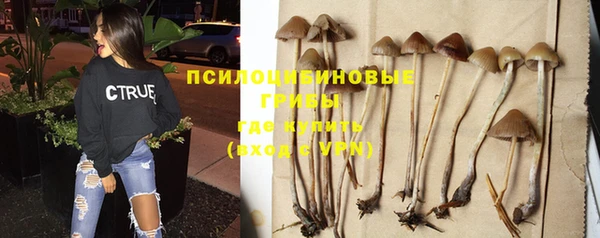 не бодяженный Армянск