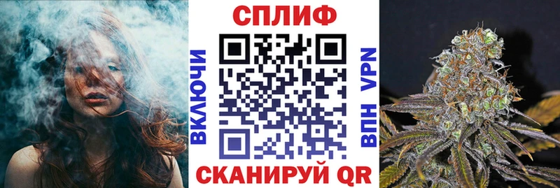 Марихуана планчик  Купить закладки  Вятские Поляны 